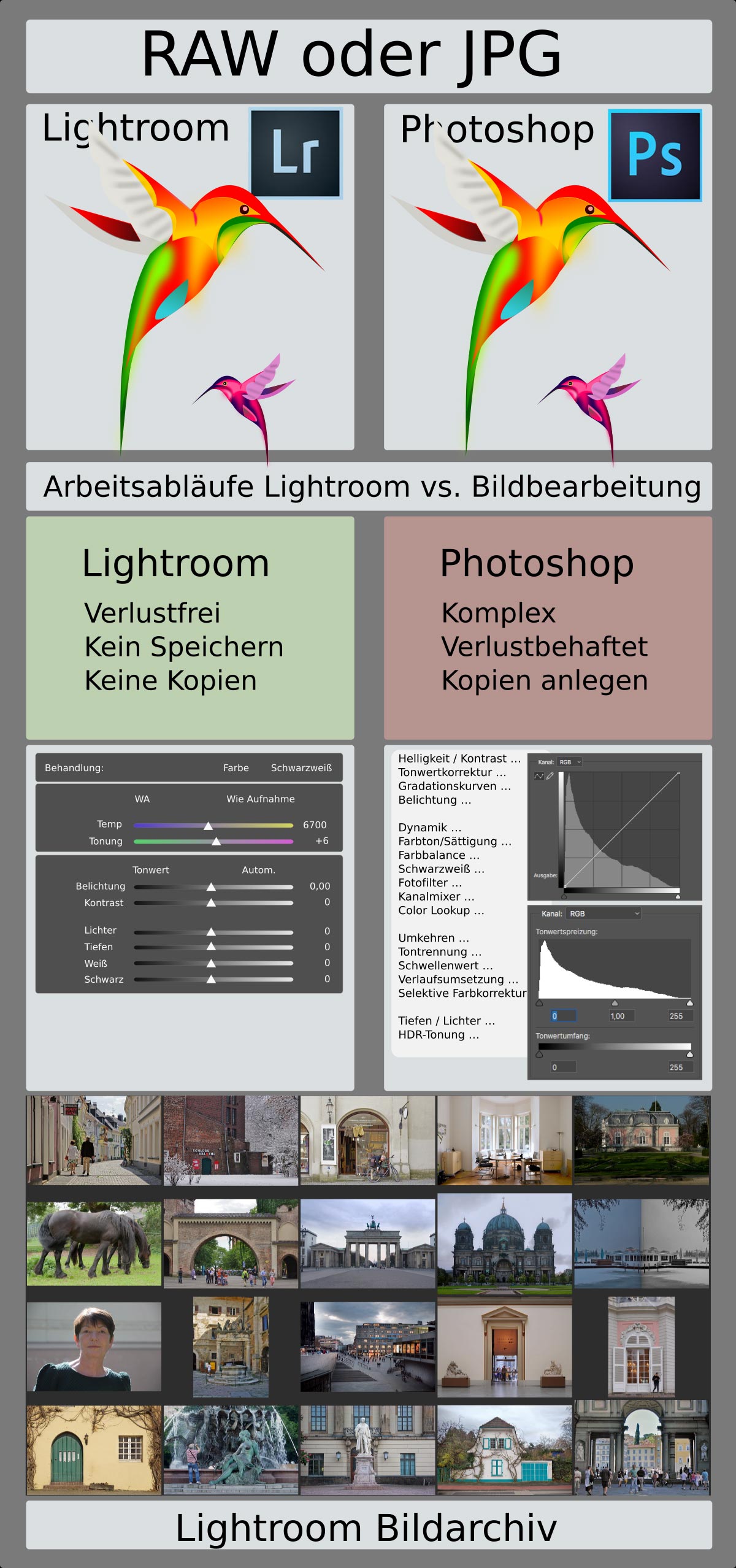 Infografik Adobe Lightroom vs. Adobe Photoshop