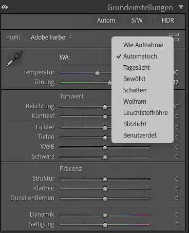 lightroom-grundeinstellung
