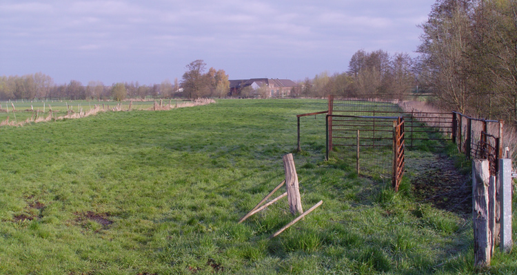 Kompaktkamera: kein aufgelöster Hintergrund