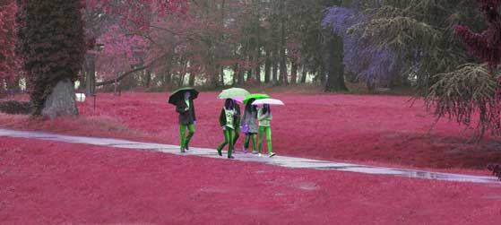 Farben falsch?
