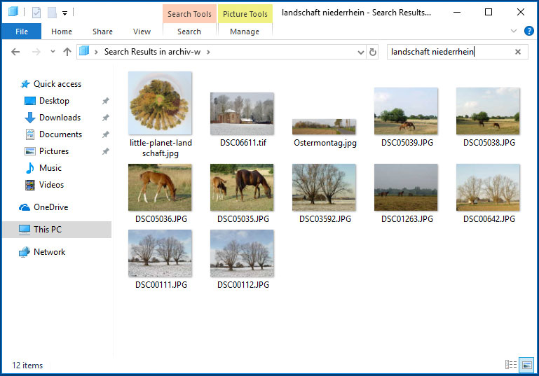 Windows Bilder auf dem Laufwerk suchen mit Stichwort / Schlagwort