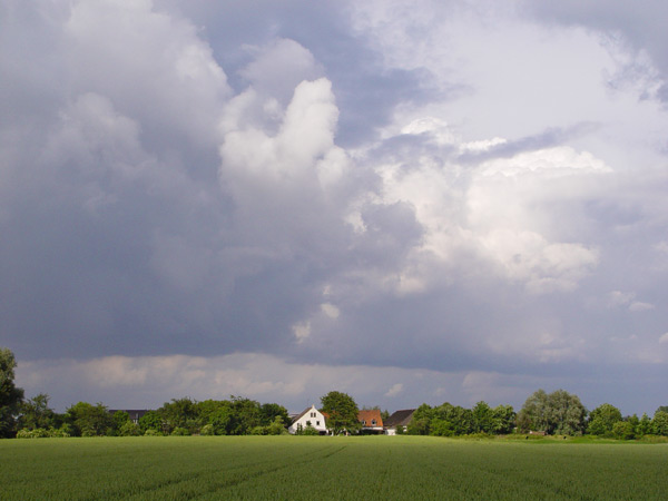 Polfilter einsetzen