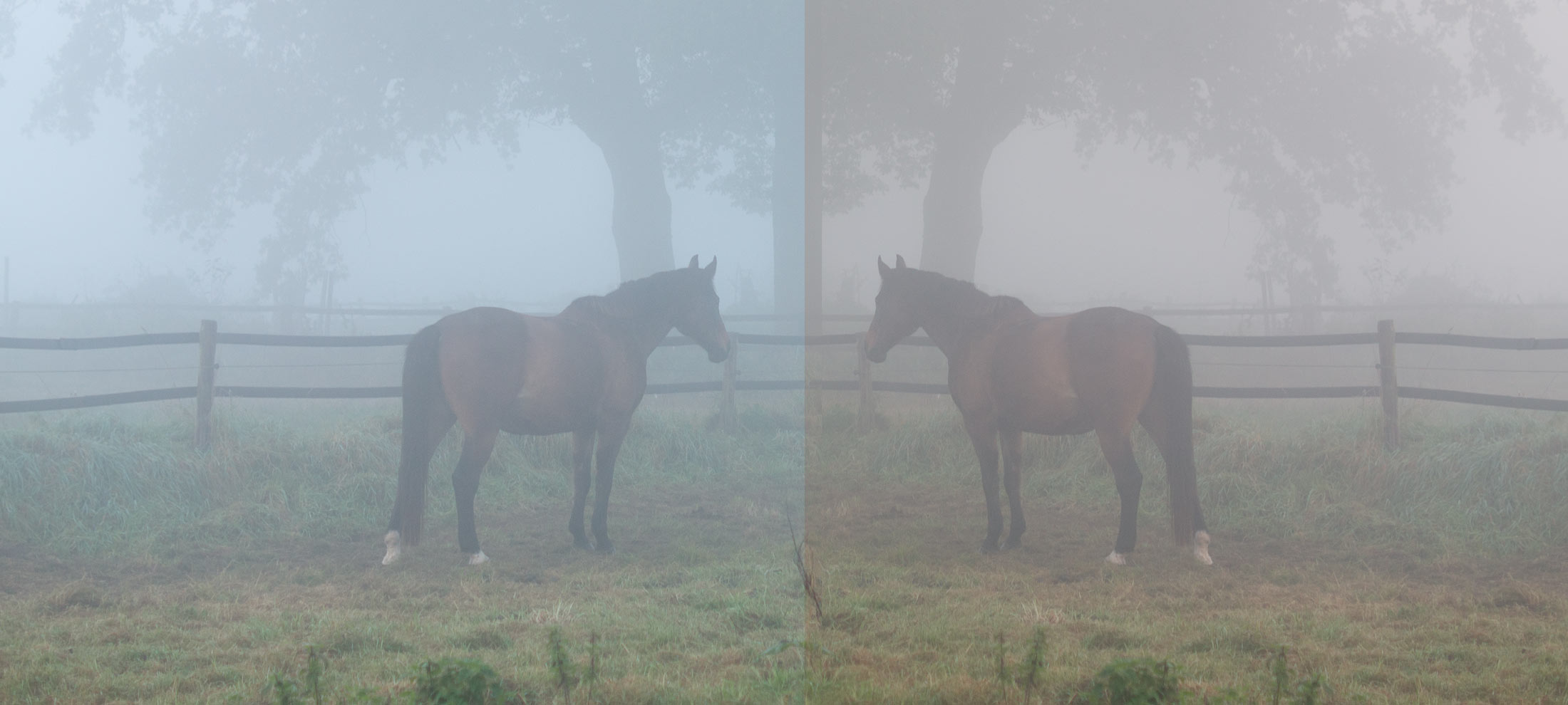 Weißabgleich falsche Farben IVENT Fotografie / Bilddatenbanken